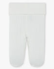 Mixed pants in flat vanilla cotton pima DINO 21 / 21PV2411N3A114