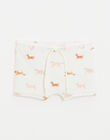 Children's anti-UV dog print swim shorts JUAN 24-K / 24V129211NAG005