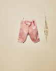 Girls' pink velveteen pants VOLIA 19 / 19IV2211N03312