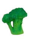 Brucy the broccoli teething toy DENT BROCOLLI / 23PJJO007DEN600