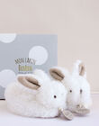 Bunny bunny shoe taupe CHAU LAPIN B TA / 14PJPE003MIP803