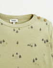 Forest printed tee-shirt in organic cotton FIRGILE 22 468 / 22I129212N0F613