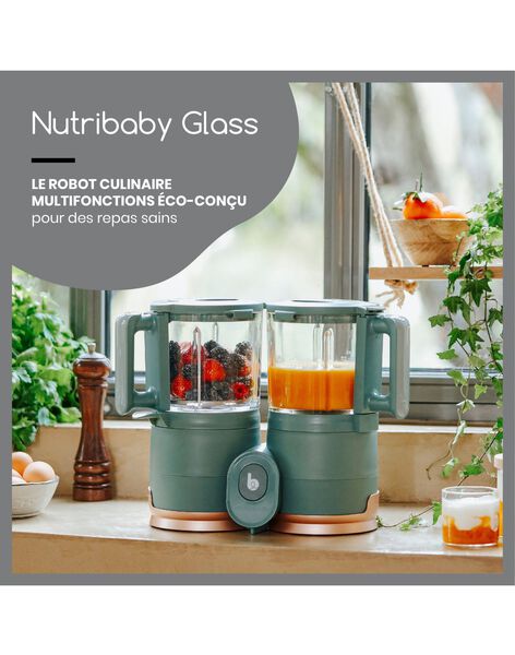Nutribaby glass food processor NUTRIBABY GLASS / 22PRR2002INR999