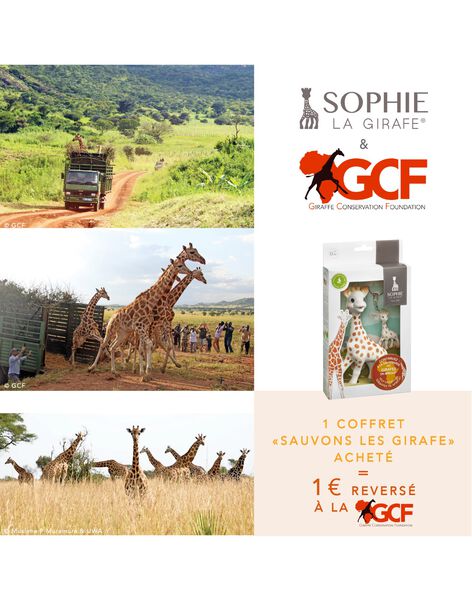 Box Back up giraffes COFF SAUV GIRAF / 21PJJO016AJV999