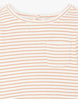 PIMA cotton striped t-shirt DIMY 21 / 21IV2311N0F114