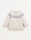 Knitted sweater with jacquard pattern in absorbent cotton FLORENTIN 22 / 22IU2012N13A013