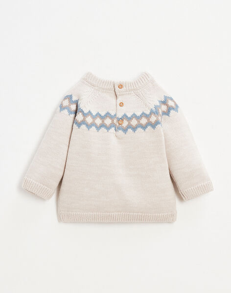 Knitted sweater with jacquard pattern in absorbent cotton FLORENTIN 22 / 22IU2012N13A013