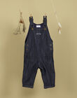 Boys' embroidered petit lion blue jean overalls  TIM 19 / 19VU2021N05704