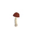 Burgundy mushroom rattle HCHET CHAMPIGNO / 23PJJO002HOC501