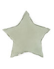 Star dune powder cushion COUSIN STAR DNE / 24PCLT007ACLG610