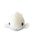 Shakies whale bright stuffed plush PEL LUMI BALEIN / 20PCDC006LUM999