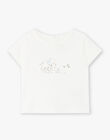 Vanilla boy's t-shirt short sleeves CLARANCE 21 / 21VV2311N0E114