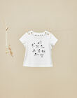 Baby boys' vanilla short-sleeve T-shirt VENANCE 19 / 19IU2011N0E114