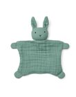 Flat comforter green rabbit 20cm DOUDO VERT 20CM / 22PJPE055PPE600