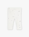 Organic cotton underpants printed EDERN 22 / 22VV23B1N04114
