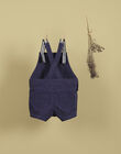 Boys' short overalls in indigo TOM 19 / 19VU2011N06703