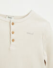 Tee shirt in honeycomb organic cotton FABIO 22 468 / 22I129214N0F009