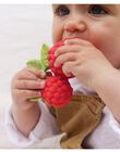 Teething toy valery the raspberry JOUE VALE FRAMB / 22PJJO009DEN308