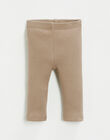 Pima cotton ribbed shorts FLAURA 22 / 22IU1912N04817