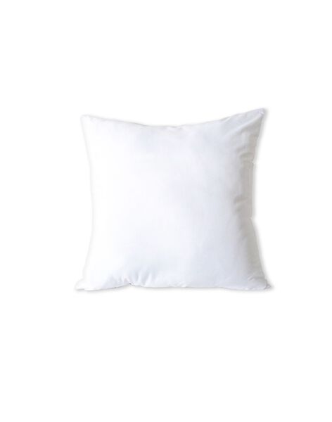 35x45 cm pillow OREILLER 35X45 / 17PCLT003ACL000