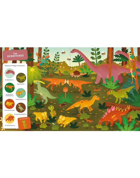 Looking for and finds all little dinosaurs LES DINOSAURES / 22PJME002LIB999