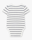 Boy's short-sleeved vanilla striped bodysuit in pima cotton CEYLAN 21 / 21VV2313N70114
