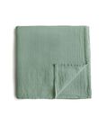 Roman green organic cotton diapers x3 LAG COT GREN X3 / 22PSSO005LAG600